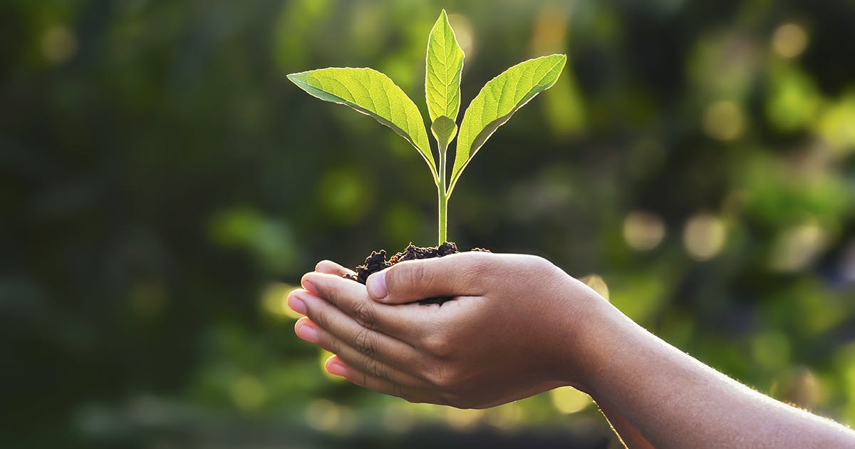Environmental Protection